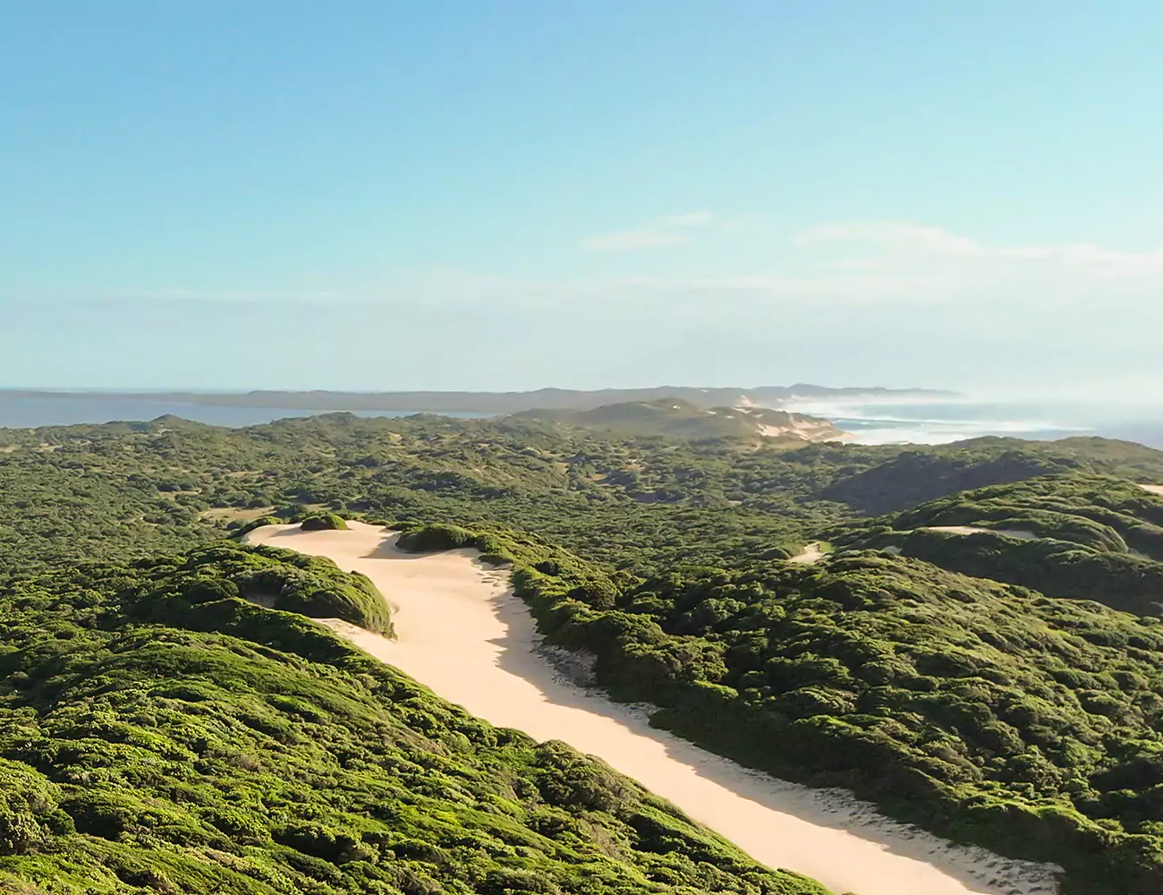 wild bush and coast in mozambique