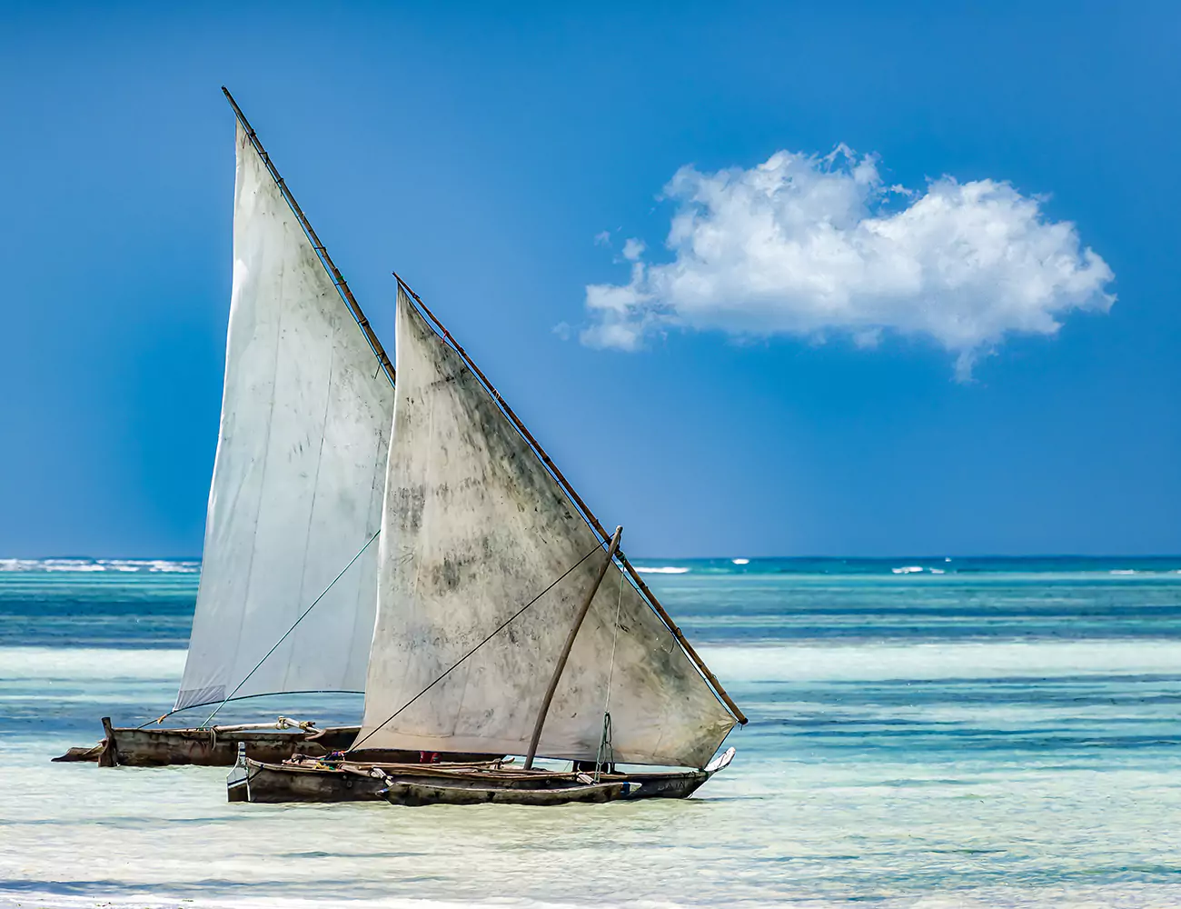 dhow boats in the ocean on a sunny day